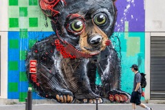 Sur les murs de Paris