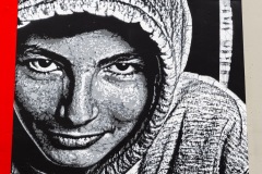 Sur les murs de Lille