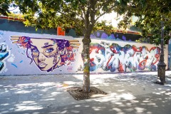 Sur les murs de Paris