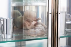 "Triple Trouble" exposition de Invader, Shepard Fairey et Damien Hirst à la Newport Street Gallery