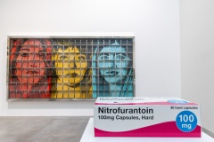 "Triple Trouble" exposition de Invader, Shepard Fairey et Damien Hirst à la Newport Street Gallery