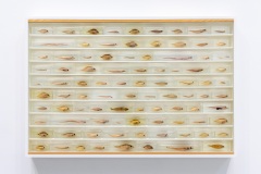 "Triple Trouble" exposition de Invader, Shepard Fairey et Damien Hirst à la Newport Street Gallery