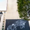 Grafs, pochoirs et affiches sur les murs de Paris