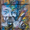 Pochoirs et affiches de C215 sur les murs de Paris