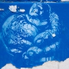 Grafs, pochoirs et affiches sur les murs de Paris