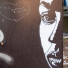 Pochoirs et affiches de C215 sur les murs de Paris