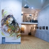 Expo de C215 à la galerie Itinérrance - Paris