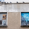 Grafs, pochoirs et affiches sur les murs de Paris