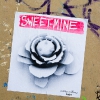 Grafs, pochoirs et affiches sur les murs de Paris