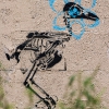 Grafs, pochoirs et affiches sur les murs de Paris