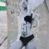 Grafs, pochoirs et affiches sur les murs de Paris