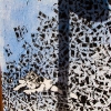 Grafs, pochoirs et affiches sur les murs de Paris