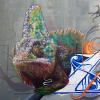 Graffitis sur les murs de Paris