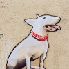 Grafs, pochoirs et affiches sur les murs de Paris