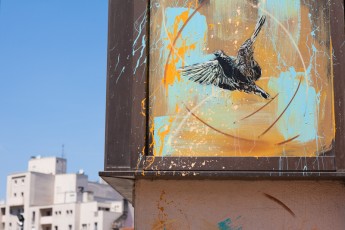 C215 - Vitry - Cité Robespierre - Juillet 2011