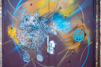 C215 - Vitry - Cité Robespierre - Juillet 2011