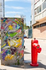 C215 - Vitry - Cité Robespierre - Juillet 2011