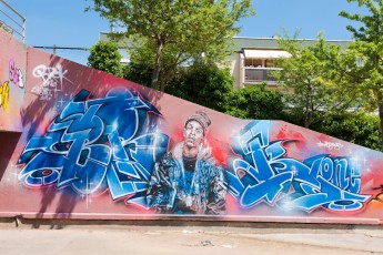 C215 et Brock - Vitry - Allée du Puits Farouche - Juillet 2011