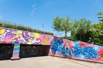 C215 et Brock - Vitry - Allée du Puits Farouche - Juillet 2011