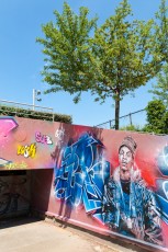 C215 et Brock - Vitry - Allée du Puits Farouche - Juillet 2011