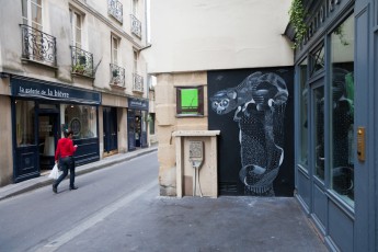 Philippe Baudelocque - Les Lézarts de la Bièvre - Rue de Bièvre 05è - Mai 2012