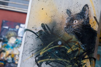 C215 - Vitry - Place Jean Martin - Mai 2012