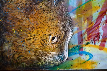 C215 - Fournier Street - Londres - Juin 2012