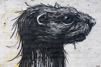 Roa - Great Eastern Street - Londres - Juin 2012