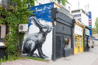 Roa - Hackney Road - Londres - Juin 2012