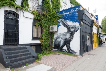 Roa - Hackney Road - Londres - Juin 2012