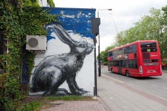 Roa - Hackney Road - Londres - Juin 2012