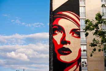 Shepard Fairey - Boulevard Vincent Auriol 13è - Juin 2012