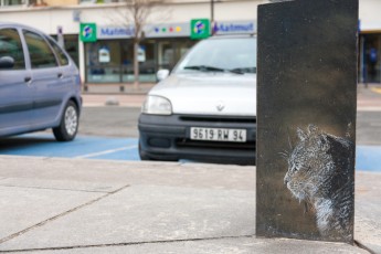 C215 - Vitry - Janvier 2013