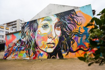 C215 - Vitry - Janvier 2013