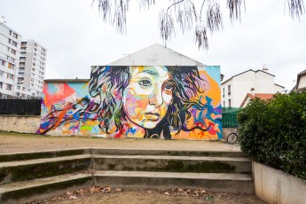 C215 - Vitry - Janvier 2013