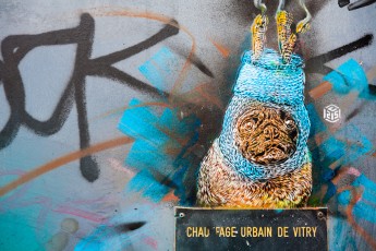 C215 - Vitry - Janvier 2013