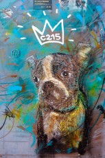 C215 - Vitry - Janvier 2013