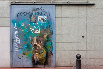 C215 - Vitry - Janvier 2013