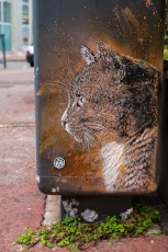 C215 - Vitry - Janvier 2013