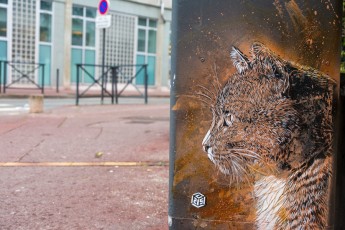 C215 - Vitry - Janvier 2013
