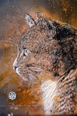 C215 - Vitry - Janvier 2013