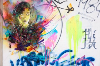 C215 - Vitry - Janvier 2013