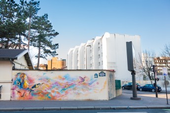 C215 - Boulevard Vincent Auriol 13è - Février 2013