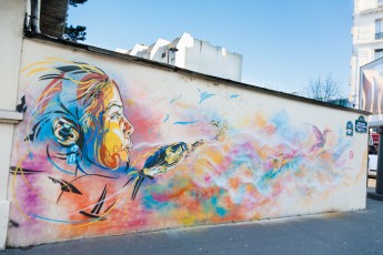 C215 - Boulevard Vincent Auriol 13è - Février 2013