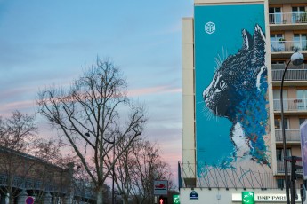 C215 - Boulevard Vincent Auriol 13è - Avril 2013