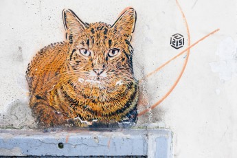 C215 - Vitry - Cité Gagarine - Mai 2012