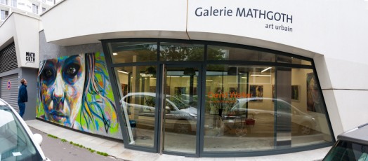 David Walker - Galerie Mathgoth - Rue Hélène Brion 13è - Mai 2013