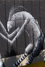 Phlegm - Londres - Queen Elizabeth Hall - Juillet 2013