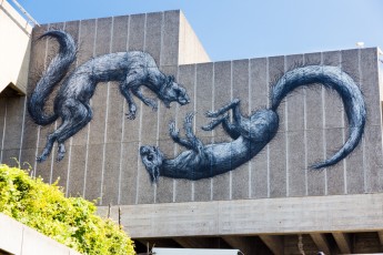 Roa - Londres - Queen Elizabeth Hall - Juillet 2013