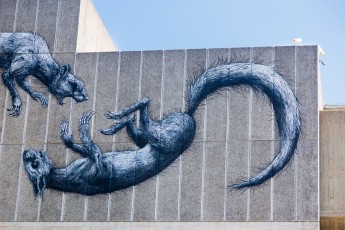 Roa - Londres - Queen Elizabeth Hall - Juillet 2013